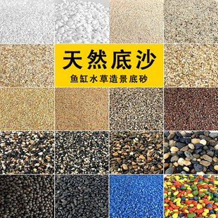 新疆包邮鱼缸造景装饰彩鹅卵石原生缸天然底沙贝壳雨林砂溪流白沙