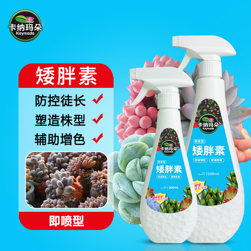 卡纳玛朵矮胖素多肉营养液控高