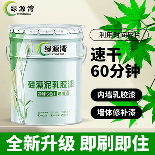 内墙乳胶漆室内自刷油漆家用涂料无味彩色白色墙漆墙面无甲醛环保