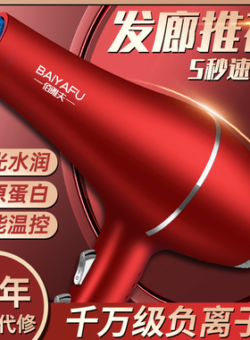 德国电吹风机家用发廊大功率理发店3800w发型师负离子静音大风力