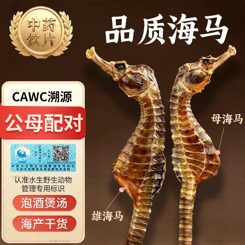 钰宸源 三斑海马 中药饮片一公一母配对海马中药材正品泡酒煲汤