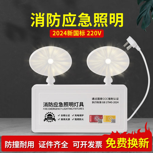 【新国标IP65防水】220V