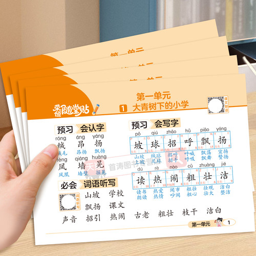荣恒随堂贴小学基础知识全解读