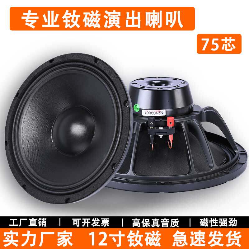 15寸钕磁喇叭220磁100芯大功率专业舞台音箱重低音全频扬声器音响