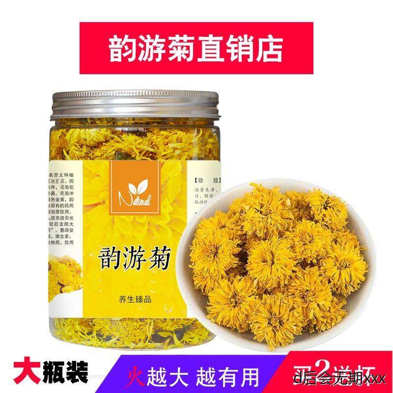 韵游菊念露菊花茶正品官方游菊花春季河南新花茶包邮直销t77