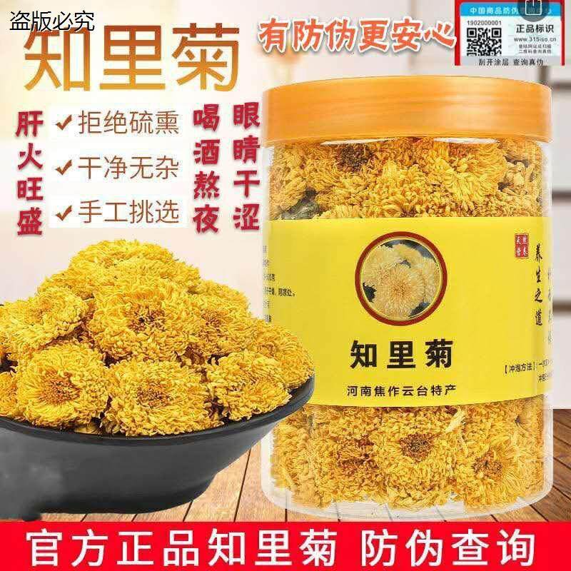 知里菊河南焦作官方正品云台冰菊玲珑菊韵游菊野念露菊花h9