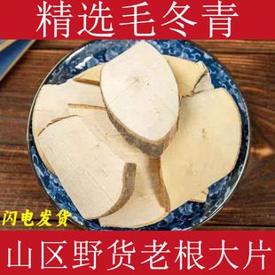 毛冬青材广西深山毛冬青根切片毛冬青干货新货毛东青毛冬青茶真货