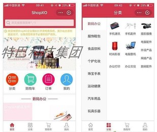 2022年B2C开源电商系统源码