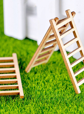 微景观台阶走廊多肉盆栽小摆件