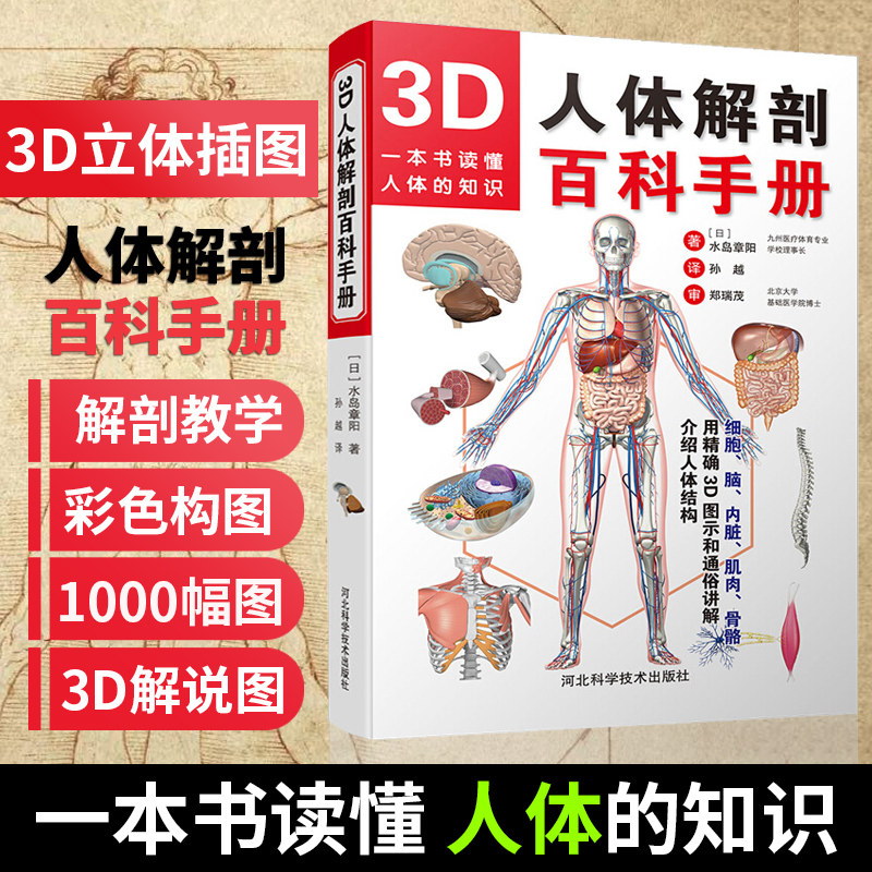 人体解剖学书素材模板 人体解剖学书图片下载 小麦优选