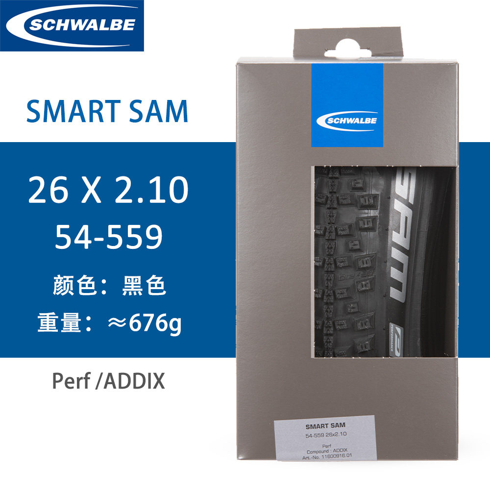 世文SCHWALBESMARTSAM外胎