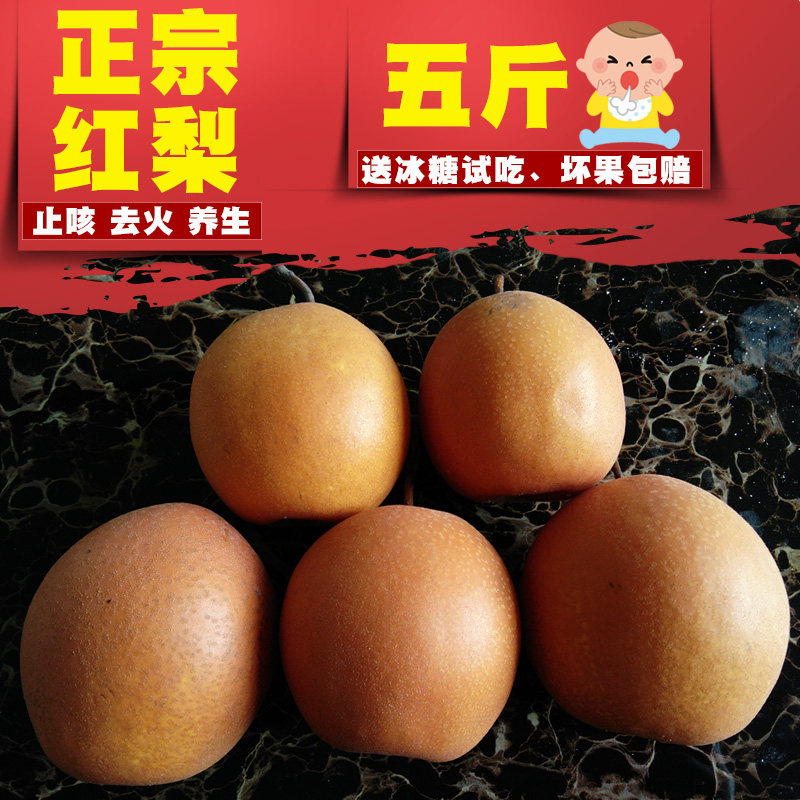 魏县红梨5斤 新鲜梨子红皮梨魏县正宗小酸红梨冰糖煮水熬汤硬铁梨