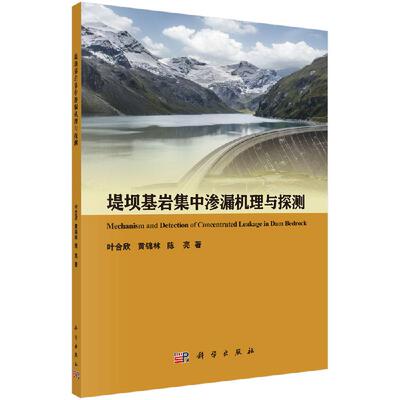 堤坝基岩集中渗漏机理与探测/叶合欣 黄锦林 陈亮