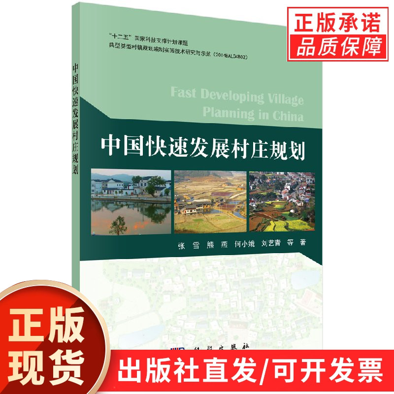 中国快速发展村规划