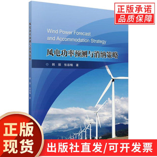 风电功率预测与消纳策略