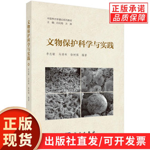【现货正版】文物保护科学与实践 即含有文物保护、文物科学保护、文物保护科学及其实践 科学出版社 正版书籍