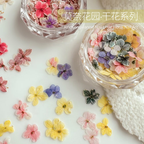 莫奈花园干花系列彩色花朵