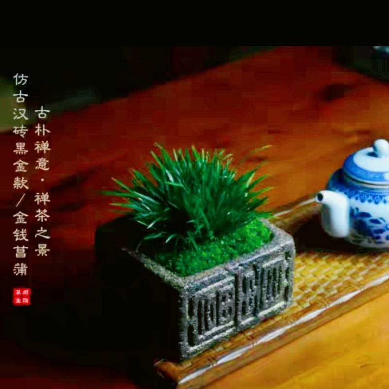 汉砖菖蒲盆景金钱禅意茶桌办公室书房绿植虎须菖蒲苔藓微景观摆件图片