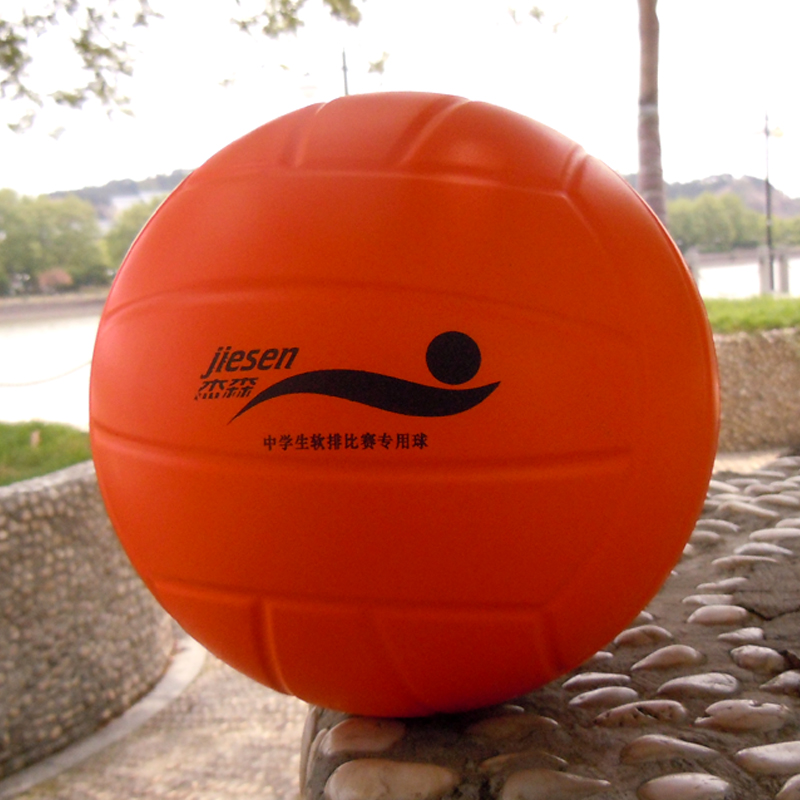 Ballon de volley - Ref 2010996 Image 4