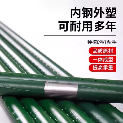 黄瓜豆角番茄花卉爬藤支撑植物杆