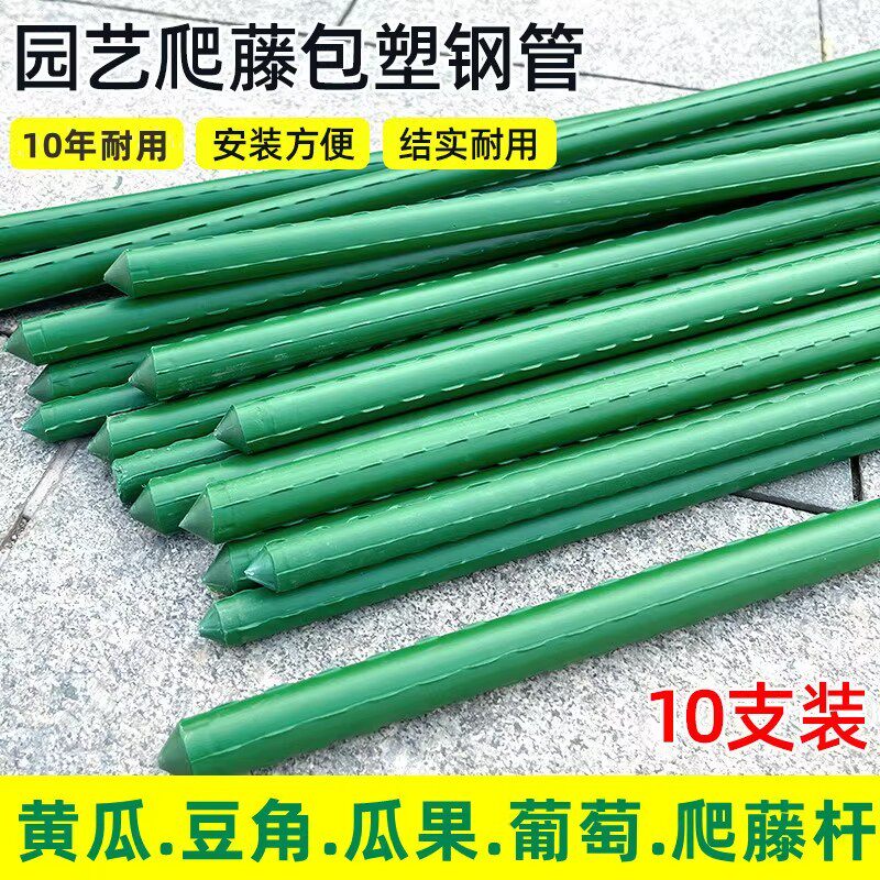 黄瓜豆角番茄花卉绿植爬藤支撑杆图片