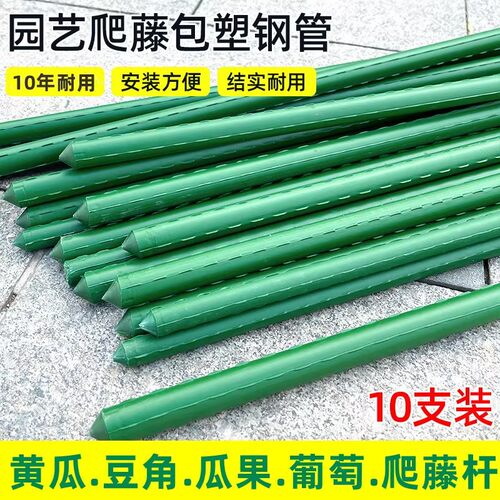 黄瓜豆角番茄花卉绿植爬藤支撑杆