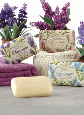 Nesti Dante内斯蒂丹特佛罗伦萨浪漫悠活薰衣草系列 Lavanda 150g