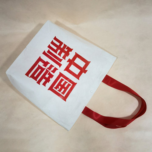 新品杜邦纸袋定制环保购物袋单肩