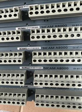 检测 SICAMA8000 DI-8110  DO-8 咨询