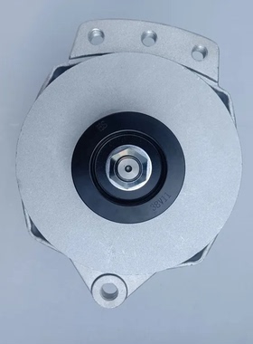 适用于重庆康明斯发电机3999672发电机8SC3240VC发电机3088320