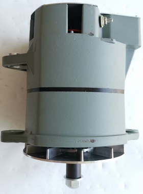 康明斯NT855 K19 K50系列发动机30SI发电机 3078115