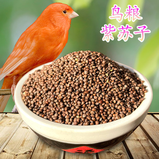 炫料紫苏子芙蓉鸟粮珍珠鸟文鸟玉鸟百灵鸟食软苏子金青营养粮