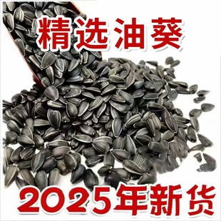 生黑珍珠小瓜子油嗑油葵籽玄凤鹦鹉鸟食仓鼠零食鸟粮鸽粮5斤 包邮