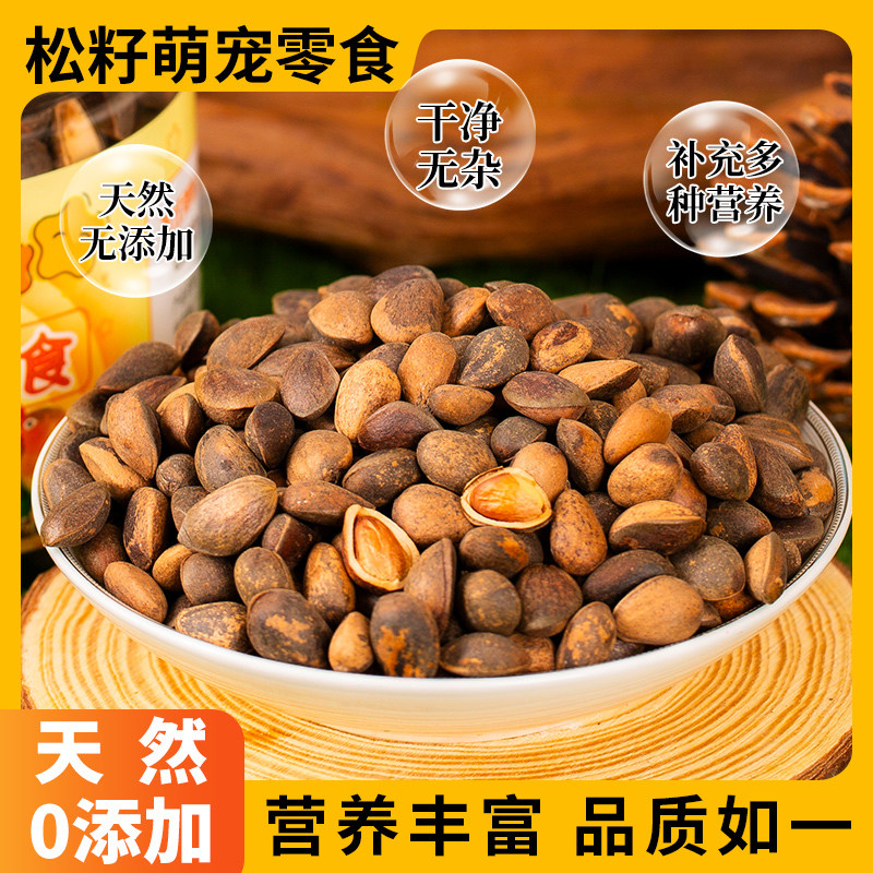 松鼠高营养零食高蛋白大型鹦鹉图片