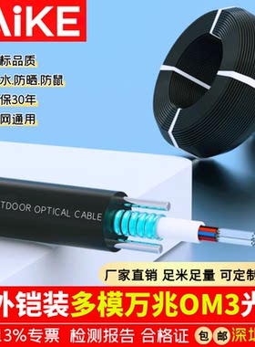 国标室外铠装万兆多模光纤4 6 8 12 24 48 72 96 144芯单模光缆线
