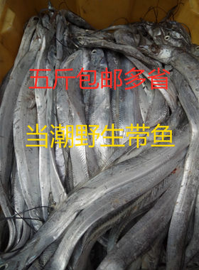 赣榆特产新鲜带鱼当炒潮刀鱼冷冻鲜活白带鱼段海鲜水产500克