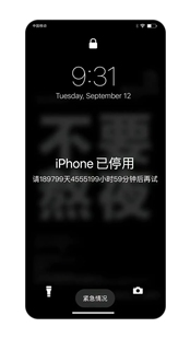 维修iPhone/iPad已停用问题，远程激活服务，不成功不收费