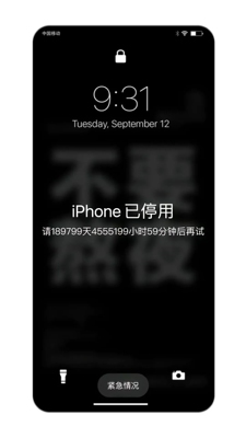 维修iPhone/iPad已停用问题，远程激活服务，不成功不收费