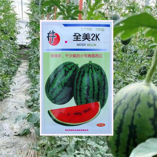 全美2K西瓜种子小礼品西瓜种子西瓜种子薄皮沙瓤甜度高不裂瓜