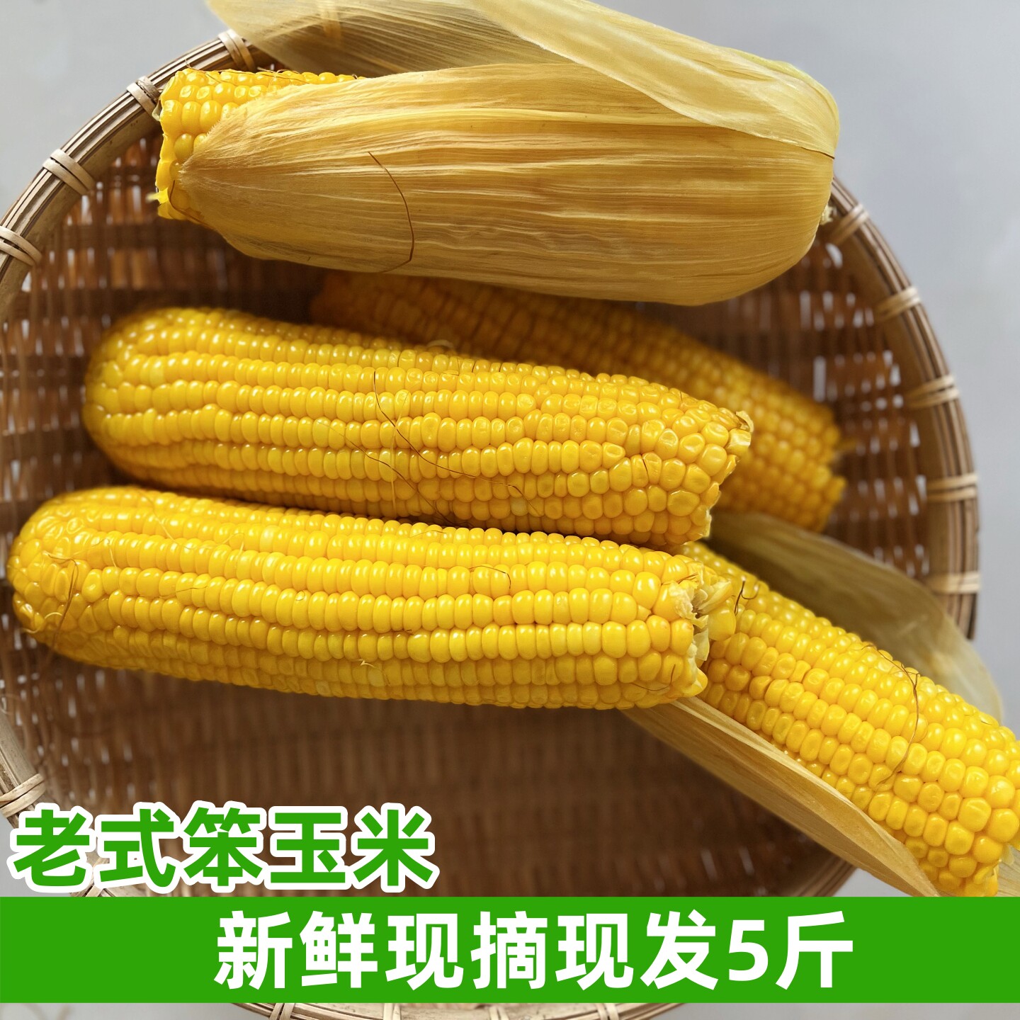 河南鲜食玉米新鲜老玉米笨玉米老式玉米棒生玉米苞米农场现摘现发