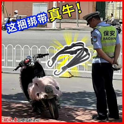 适用九号电动车绑带捆绑弹力绳固定行李带e150e125/z40z90/mz配件