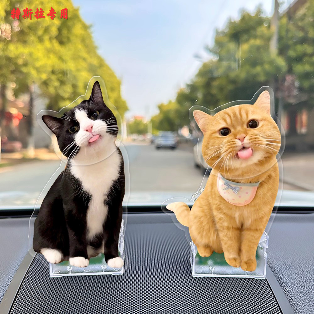 适用于特斯拉宠物航空箱猫咪车载托运箱子焕新model y/3/carplay