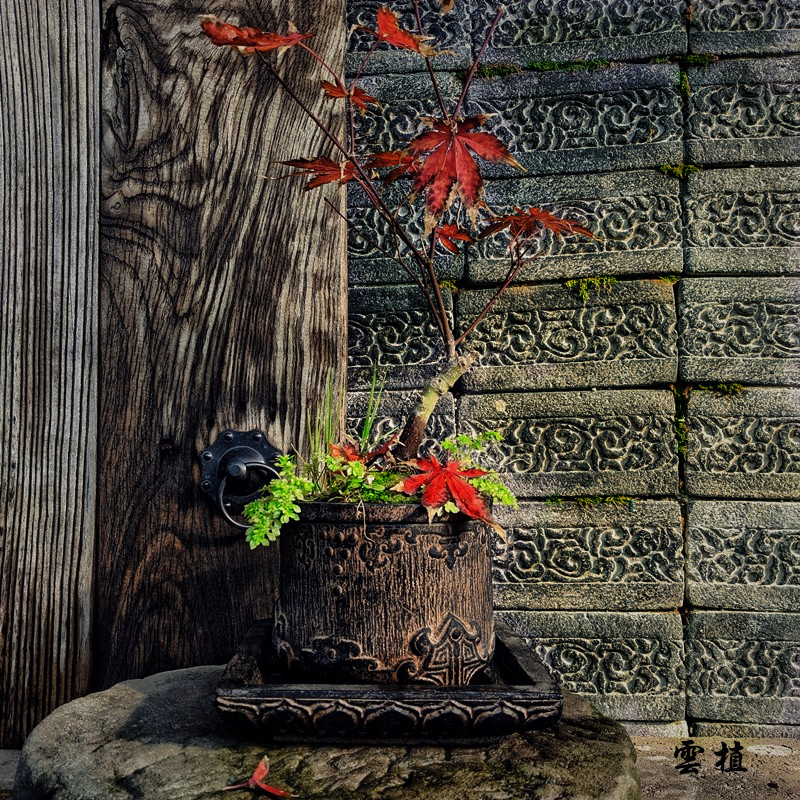 仿石大号中国风日式高端精品花盆花器老桩多肉盆景山野草菖蒲盆