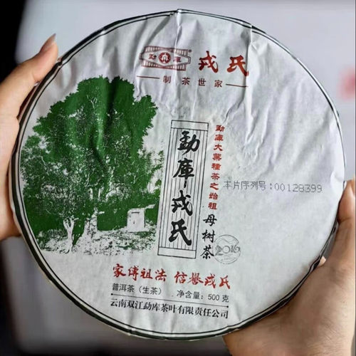 勐库戎氏2016年母树茶 冰岛茶普洱茶生茶500克/饼 干仓