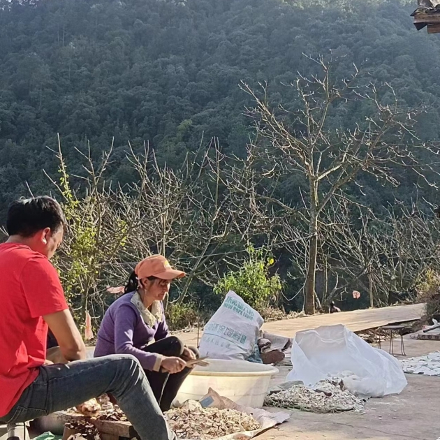 精选云南茯苓皮生切自然晒干