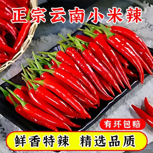 正宗云南现摘特辣小米椒