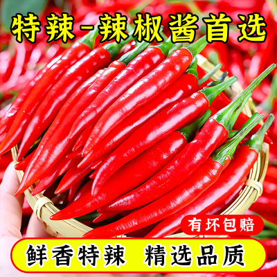云南小米辣椒新鲜朝天椒现摘指天椒农家自种特辣小红辣椒产地批发