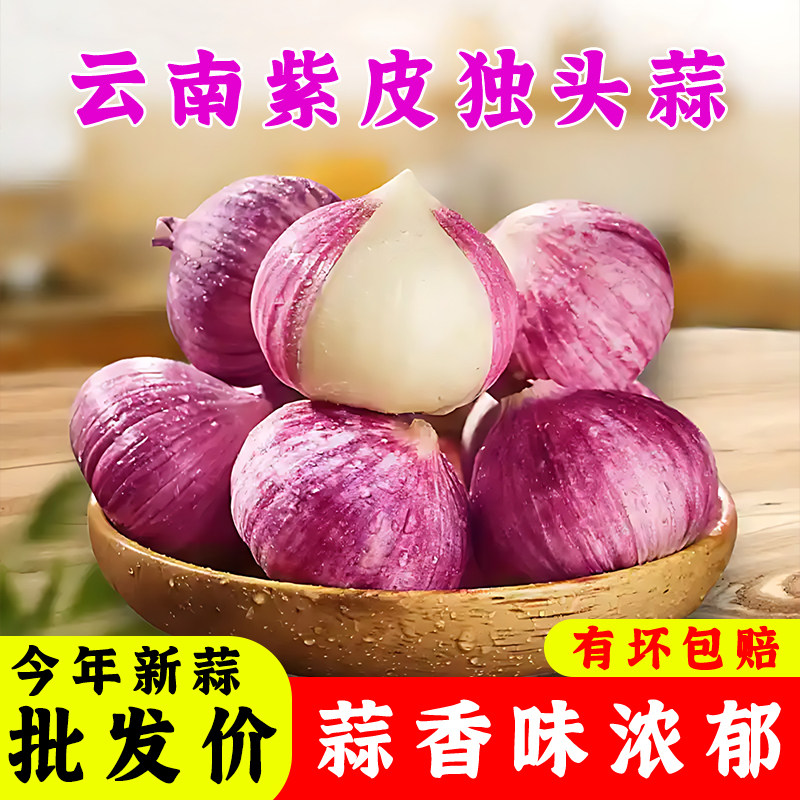 2026云南大理紫皮独头蒜现挖