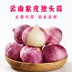 正宗云南独头蒜红皮蒜紫皮大蒜批发新鲜湿蒜现挖独头蒜干蒜蔬菜