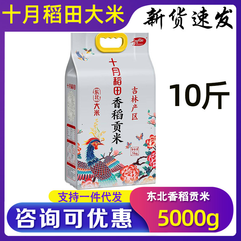 十月稻田香稻贡米5kg一年一季东北粳米10斤装蒸米饭节日公司礼品
